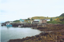 593: Red Island. (2002) [courtesy of Heather Walsh]